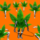 Image for article titled The Latest Iffy Wellness Trend Is CBD-Infused Workout Gear